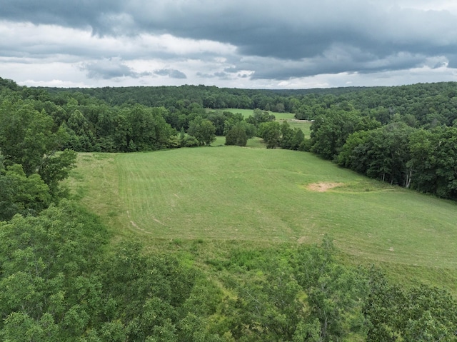 2651 Pretty Creek Rd, Nunnelly, TN 37137 - photo 55