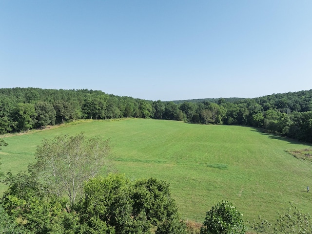 2651 Pretty Creek Rd, Nunnelly, TN 37137 - photo 56