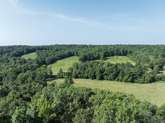 2651 Pretty Creek Rd, Nunnelly, TN 37137 - photo 63