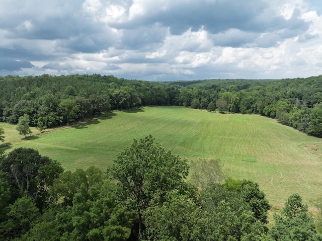 2651 Pretty Creek Rd, Nunnelly, TN 37137 - photo 40