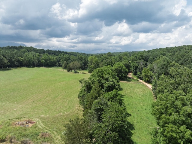 2651 Pretty Creek Rd, Nunnelly, TN 37137 - photo 49