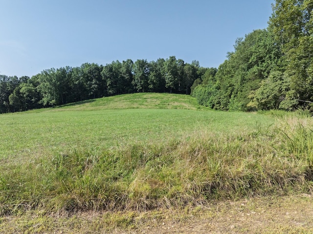 2651 Pretty Creek Rd, Nunnelly, TN 37137 - photo 61