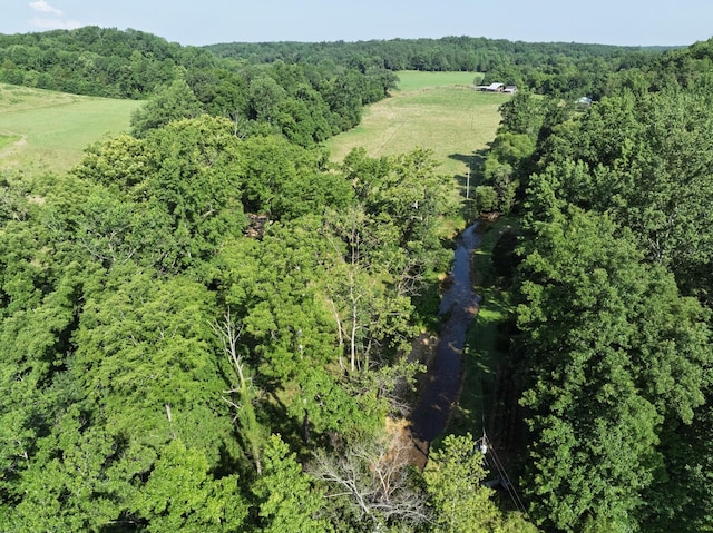 2651 Pretty Creek Rd, Nunnelly, TN 37137 - photo 67
