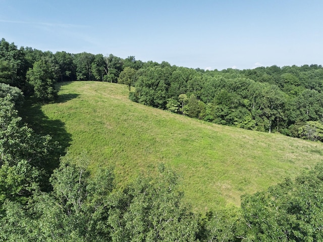 2651 Pretty Creek Rd, Nunnelly, TN 37137 - photo 64