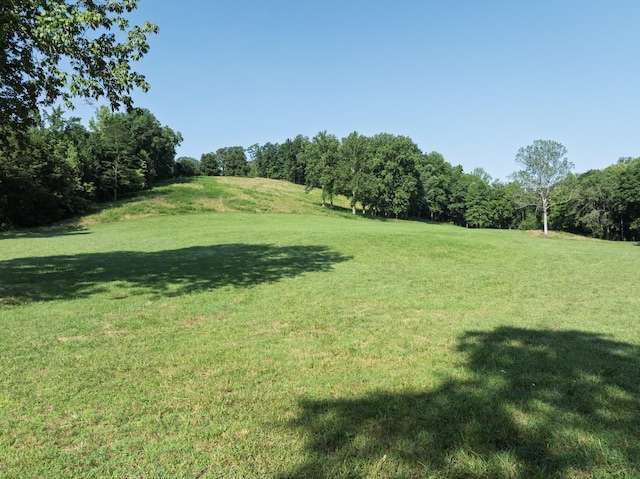 2651 Pretty Creek Rd, Nunnelly, TN 37137 - photo 57