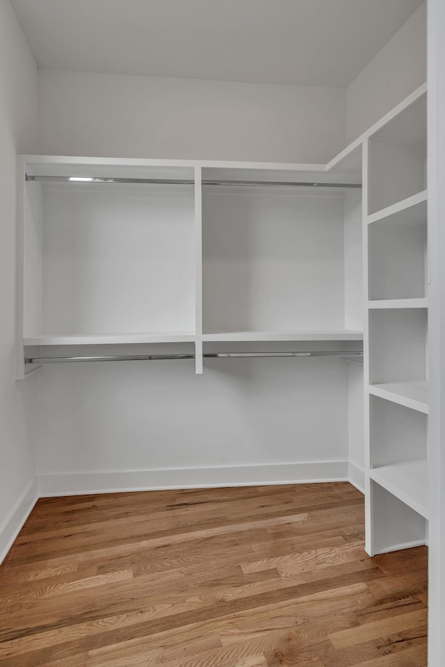 walk in closet featuring wood-type flooring