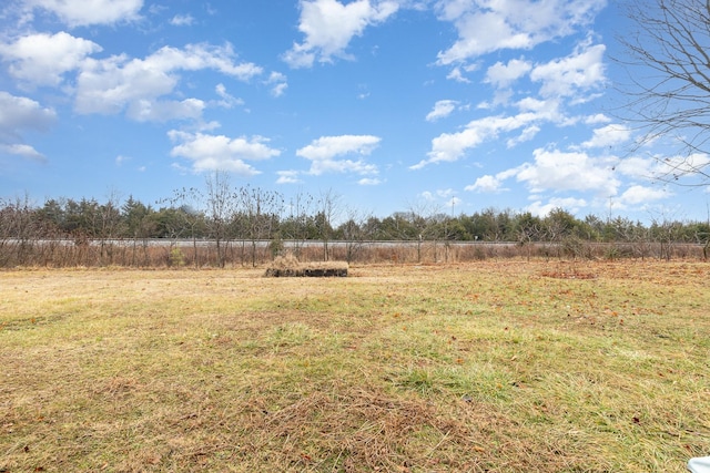 view of yard featuring a rural view