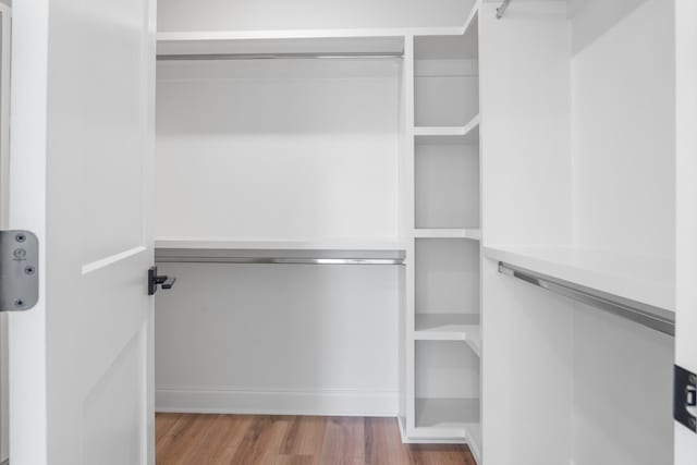 spacious closet with light wood-type flooring