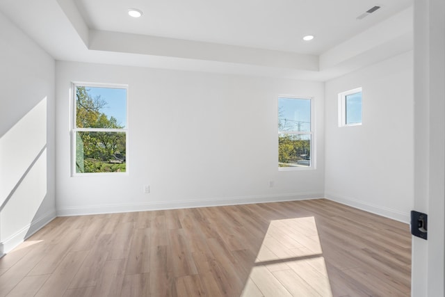 spare room featuring light hardwood / wood-style floors and a raised ceiling