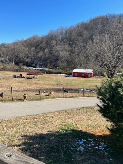 view of yard with a rural view