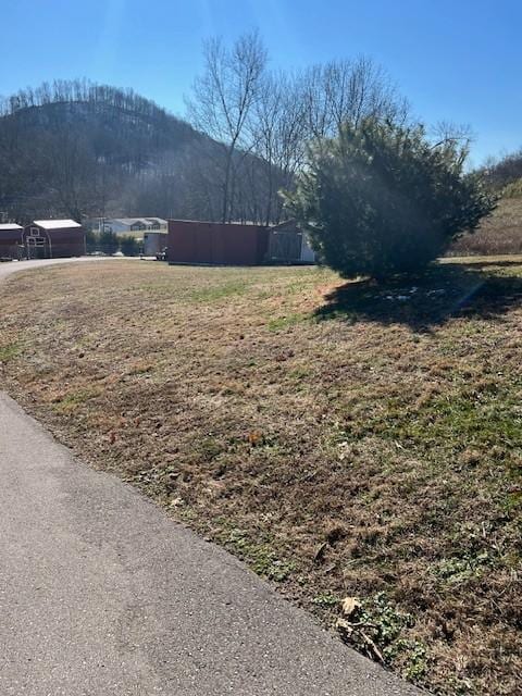 view of yard with a mountain view