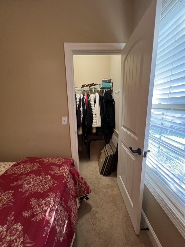 carpeted bedroom with a spacious closet and a closet