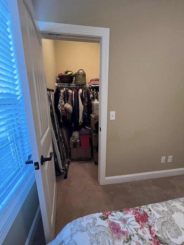 carpeted bedroom with a spacious closet and a closet