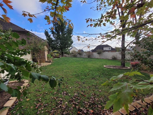 view of yard with a fenced backyard