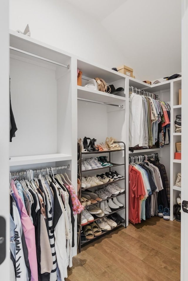 walk in closet with hardwood / wood-style flooring