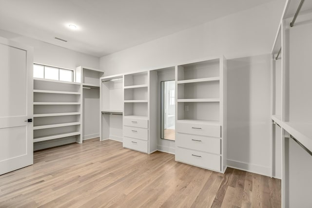 spacious closet with light wood-type flooring