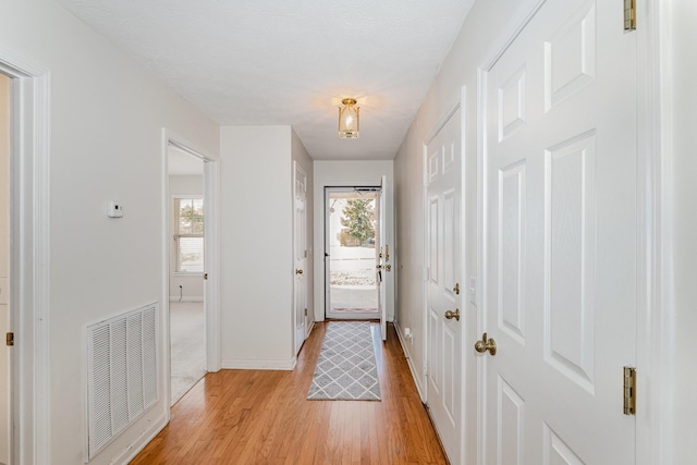 doorway featuring plenty of natural light and light hardwood / wood-style flooring