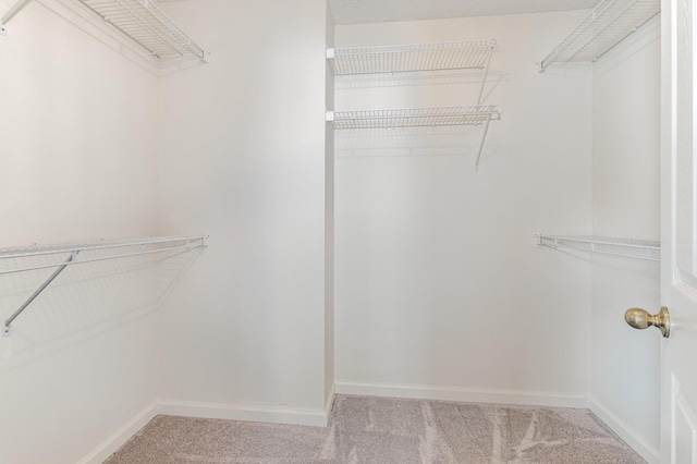 walk in closet with carpet