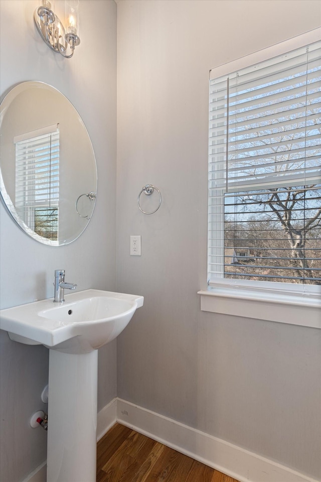 bathroom featuring wood-type flooring and sink