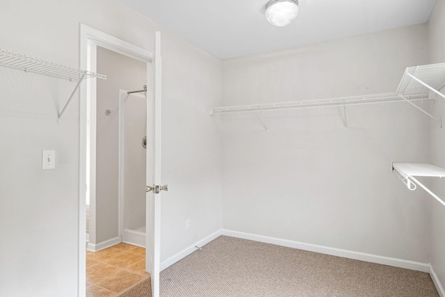 walk in closet featuring light colored carpet