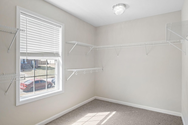 walk in closet featuring carpet floors