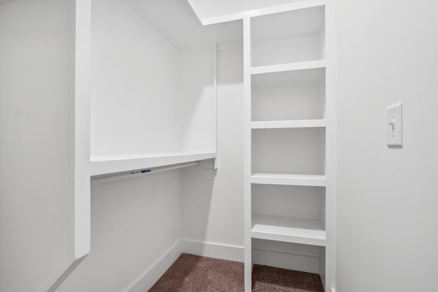 walk in closet featuring carpet floors