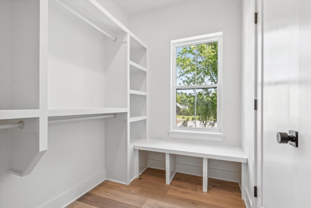 walk in closet with light wood-type flooring