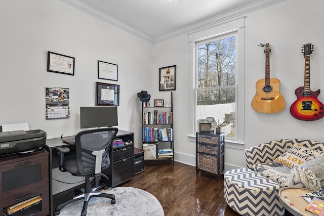 home office featuring crown molding and dark hardwood / wood-style floors