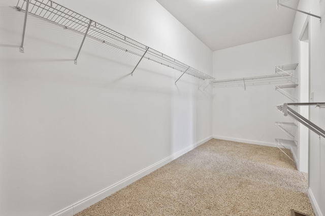 walk in closet with carpet