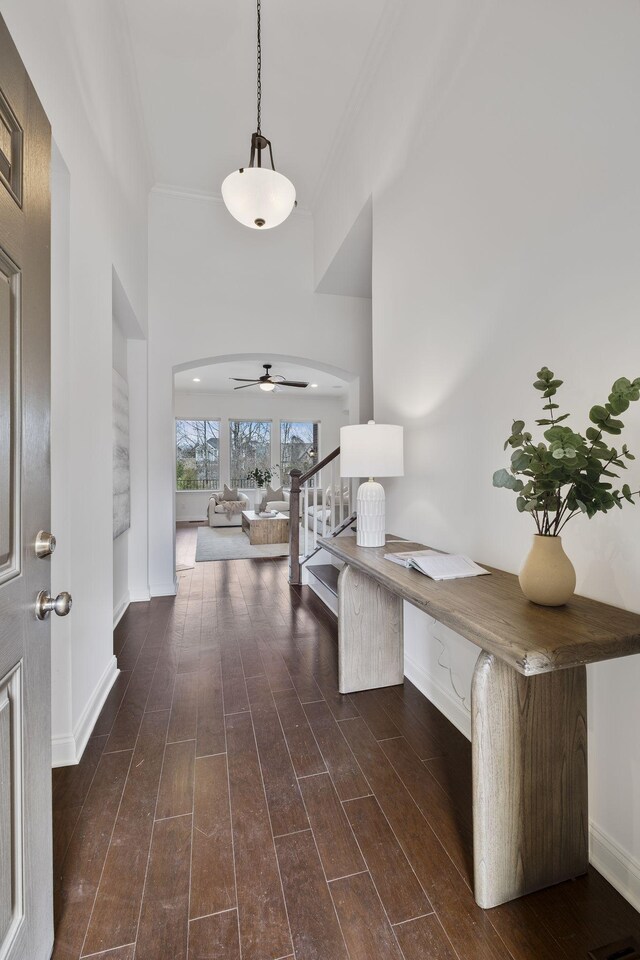 foyer featuring dark hardwood / wood-style flooring, built in desk, and ornamental molding