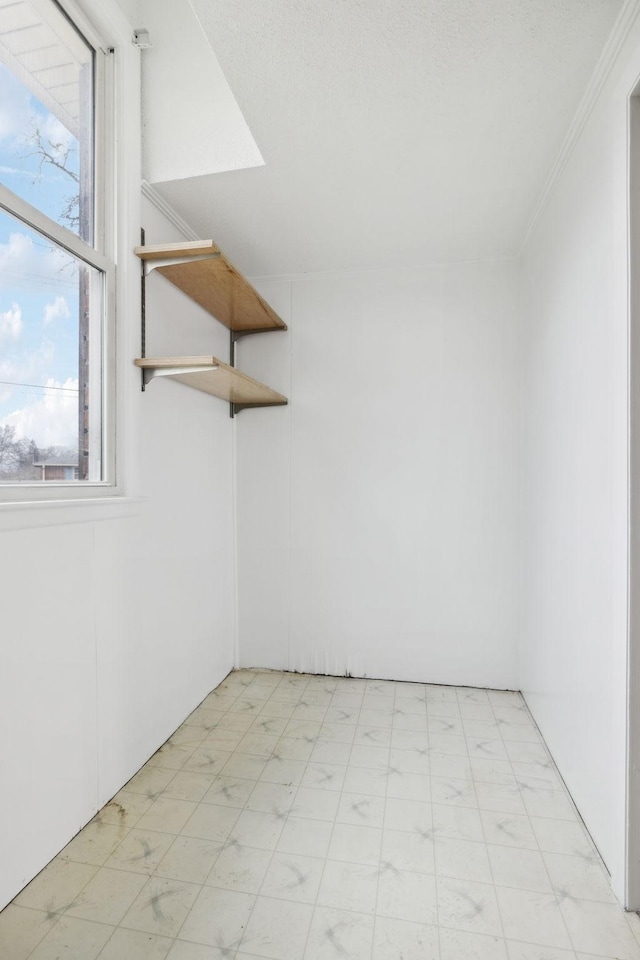 spare room featuring crown molding