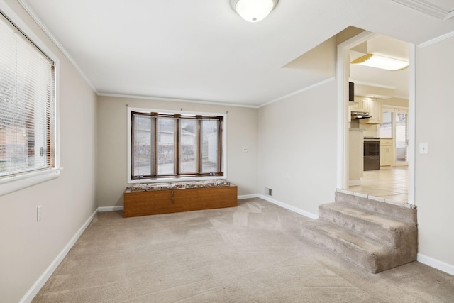 empty room with crown molding, plenty of natural light, and light colored carpet