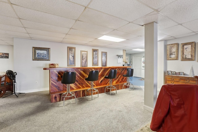 bar featuring carpet flooring and a drop ceiling