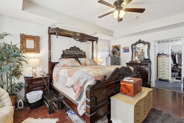 bedroom with dark hardwood / wood-style floors, a raised ceiling, ceiling fan, and a spacious closet