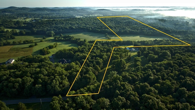 0 Swindell Hollow Rd, Lebanon TN, 37087 land for sale