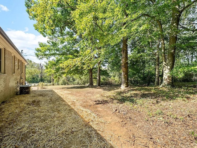 view of yard featuring cooling unit