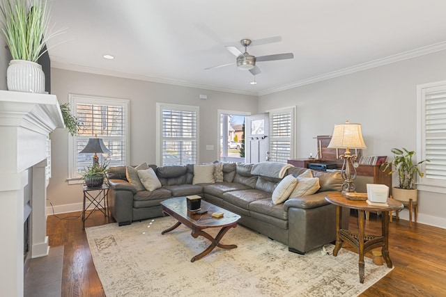 living room with dark wood-type flooring, ceiling fan, and ornamental molding