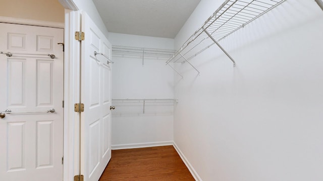 spacious closet with hardwood / wood-style flooring