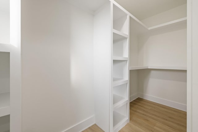 walk in closet with light hardwood / wood-style floors