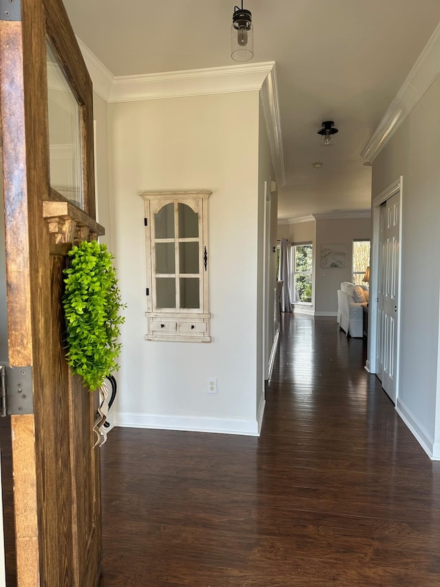 hallway with ornamental molding and dark hardwood / wood-style flooring