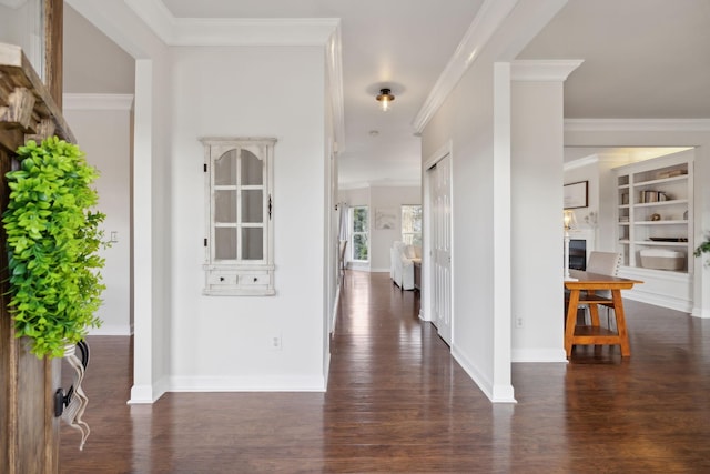 entryway featuring ornamental molding and dark hardwood / wood-style floors