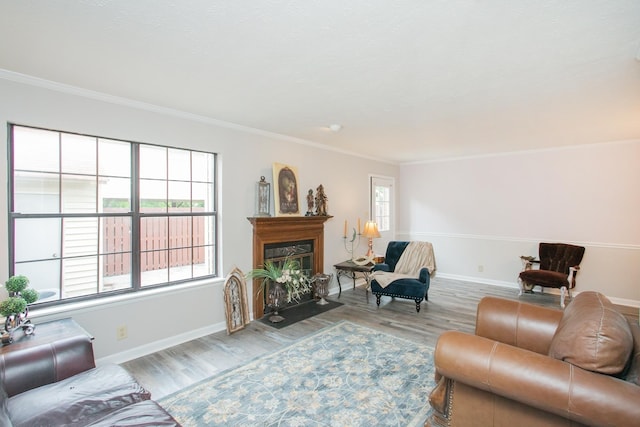 living room with crown molding and light wood-type flooring