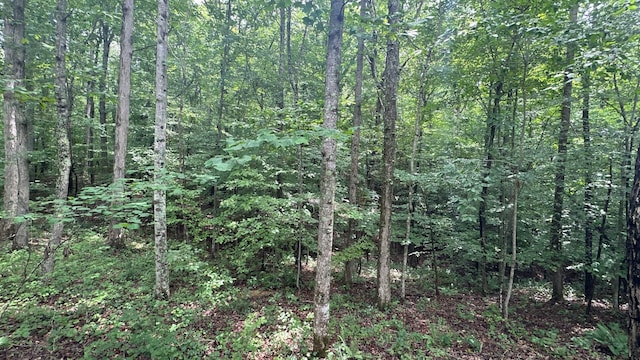 Listing photo 2 for 0 Moonlight Bay Dr, Sparta TN 38583