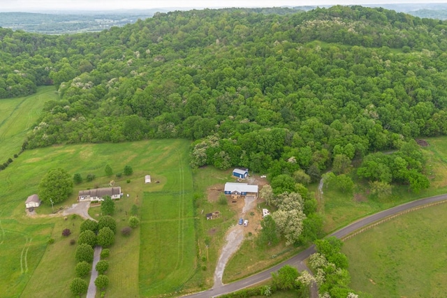 402 Cortner Hollow Rd, Petersburg, TN 37144 - photo 34