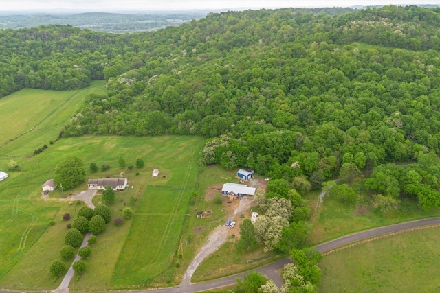 402 Cortner Hollow Rd, Petersburg, TN 37144 - photo 43