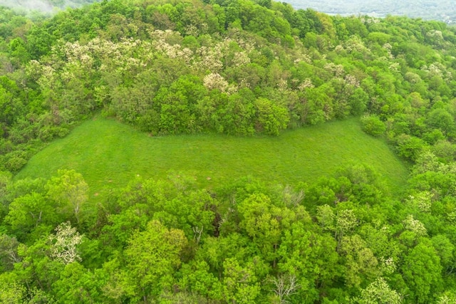 402 Cortner Hollow Rd, Petersburg, TN 37144 - photo 4