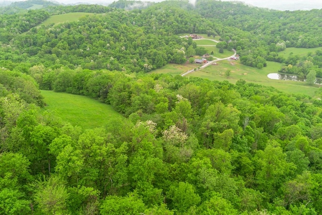 402 Cortner Hollow Rd, Petersburg, TN 37144 - photo 39