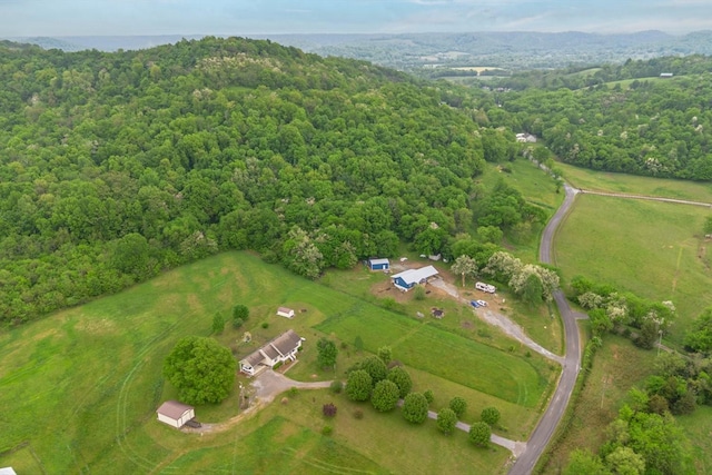 402 Cortner Hollow Rd, Petersburg, TN 37144 - photo 46