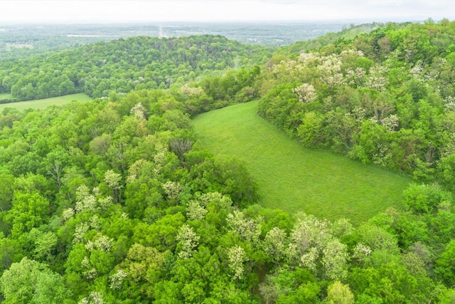 402 Cortner Hollow Rd, Petersburg, TN 37144 - photo 40
