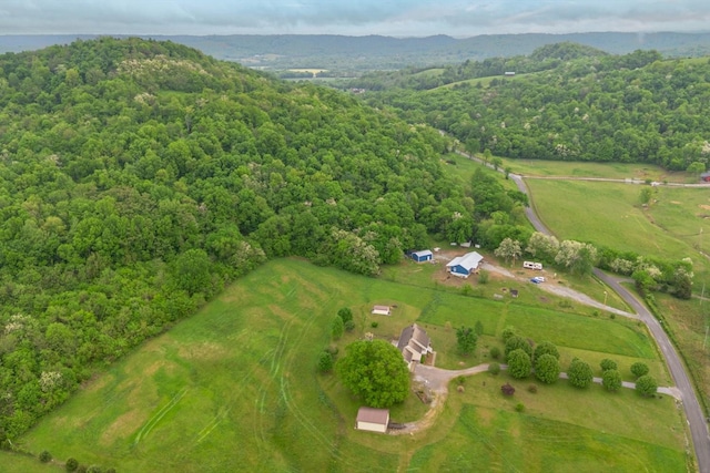 402 Cortner Hollow Rd, Petersburg, TN 37144 - photo 37